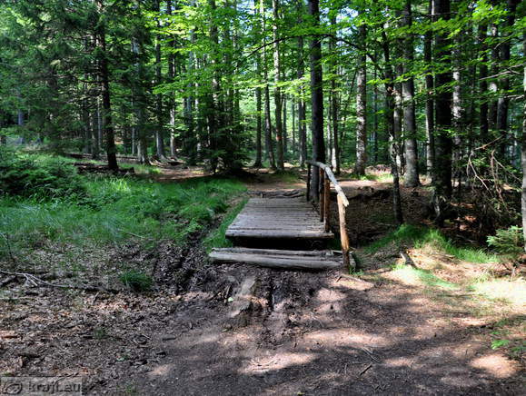 Rundweg zum Ort der letzten Schlacht des Pohorje-Bataillon